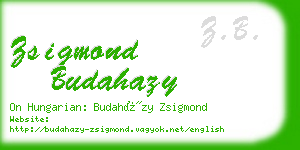zsigmond budahazy business card